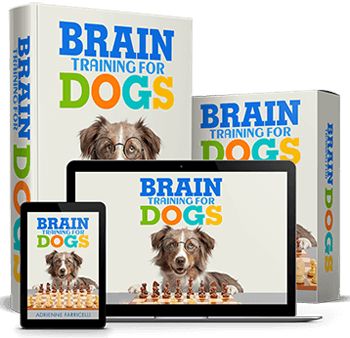 Brain training dog