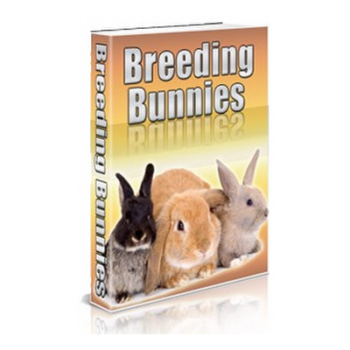 Breeding Bunnies