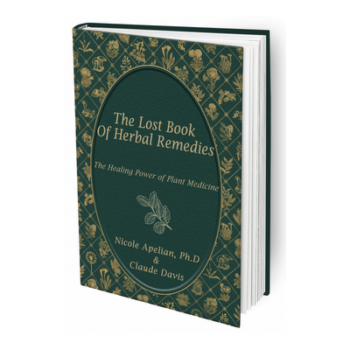 The Lost Book Of Remedies