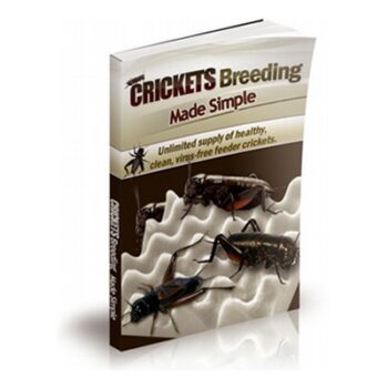 Crickets breeding Secrets