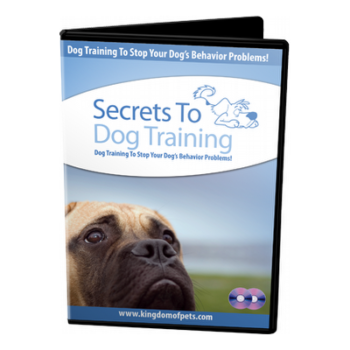 Dog Training Videos