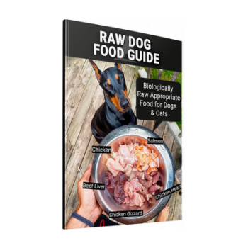 Raw Food Guide For Dogs And Cats