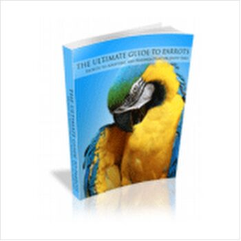 The Ultimate Parrot Guide