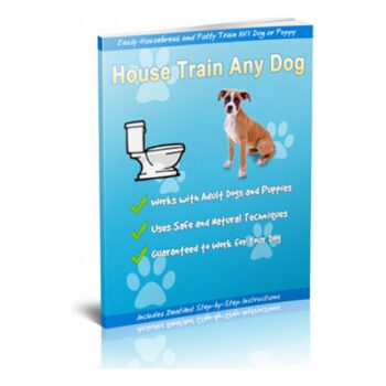 Housetrain any dog