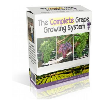 Grape Growing Secrets