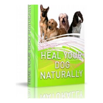 Heal Your Dog Naturally