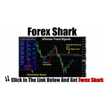 Amazing Forex System Forex Shark