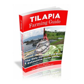 Tilapia farming guide