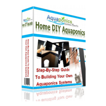 Build Your Aquaponics System