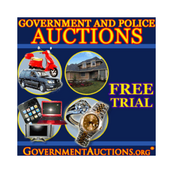 Guide To Government Auctions