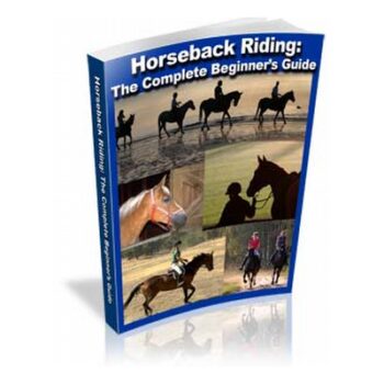 Learn Horseback Riding