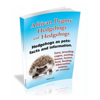 Tips For A Hedgehog Lover