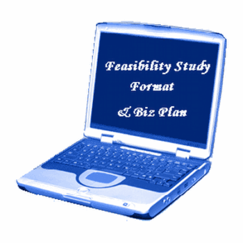 Feasibility study format