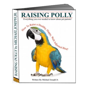 The Ultimate Parrots Raising Guide