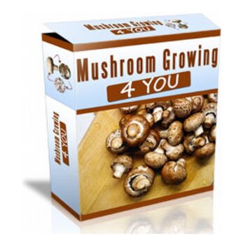 Mushroom Growing 4 You