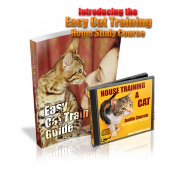 Easy Cat Training Course