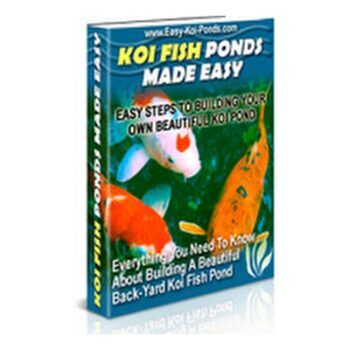 Build An Easy Koi Fish Pond