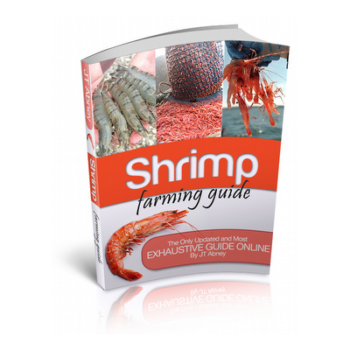 Shrimp farming business