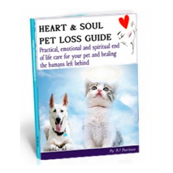 Pet Loss Grief Recovery