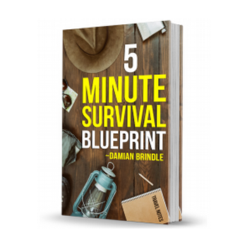 5 Minute Survival Blueprint