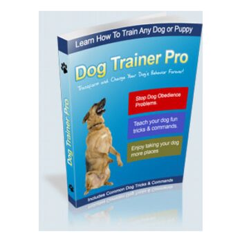 Transform Your Dog’s Behavior