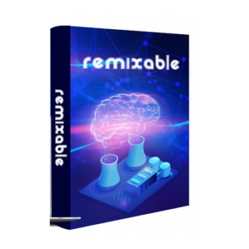 Remix Your Business  and Transform Your Life