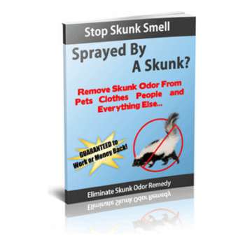 How to stop skunk smell