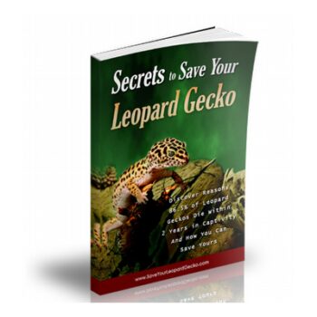 How To Save Your Leopard Gecko