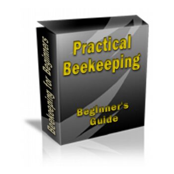 Start Beekeeping Now